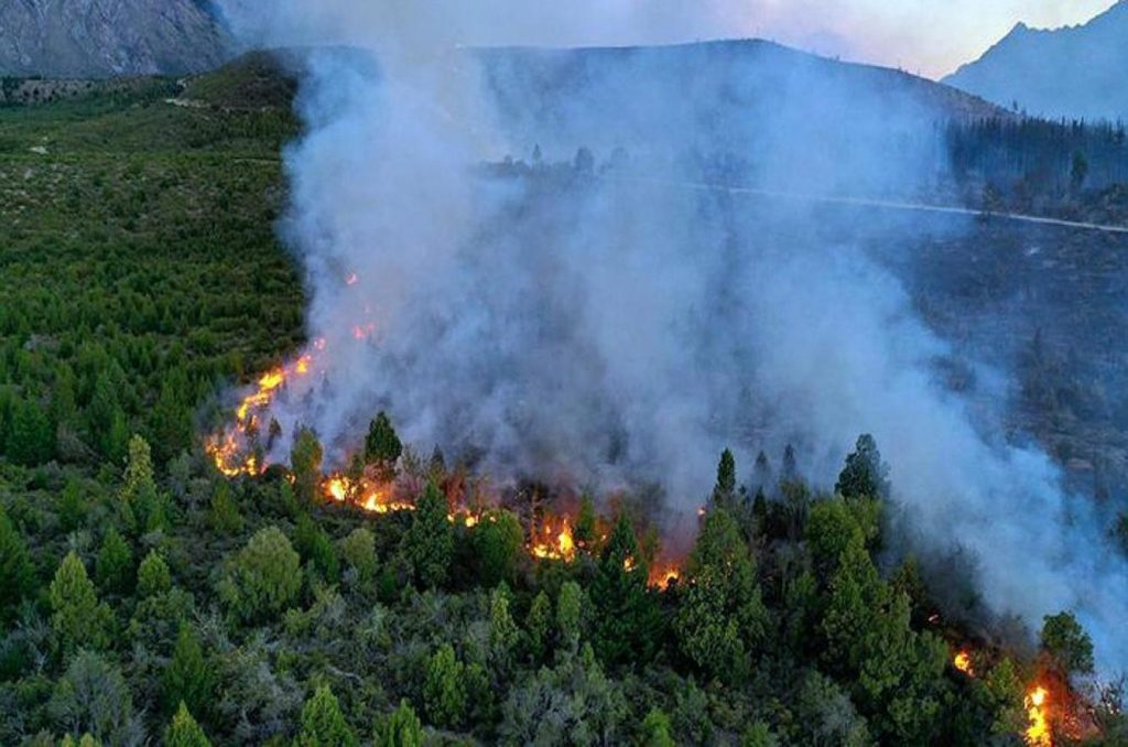 incendios en la Patagonia